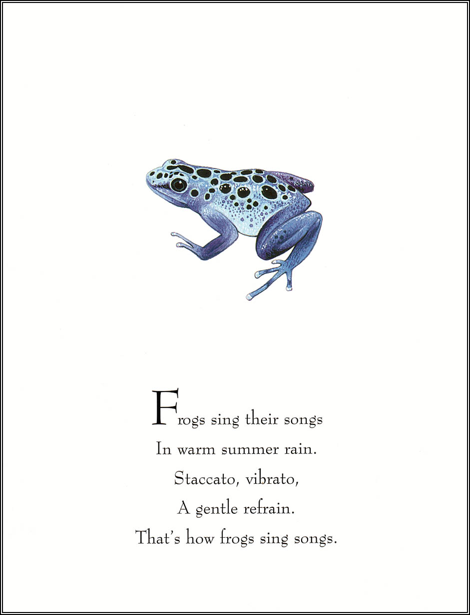Frogs Sing Songs (06),绘本,绘本故事,绘本阅读,故事书,童书,图画书,课外阅读